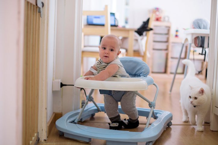 Polk Electric LLC | Baby playing with electricity cord while cat passes by